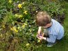 Easter egg hunt in the garden UK