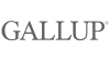 Partner-Logo-Gallup