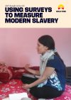 2017 Insight Series 02: Using Surveys to Measure Modern Slavery