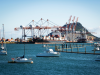 Cargo ships docked into Tauranga Harbour Port waiting for the adjacent container cranes to load.