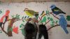 Girls look at pictures of birds at their house in Gaitania, Tolima department, Colombia, on October 25, 2021.