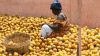 Woman selling oranges at market in Ghana.
