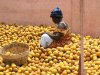 Woman selling oranges at market in Ghana.