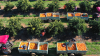 Workers pick navel oranges at the MAM Trust farm in Leeton, Australia, on Thursday, July 4, 2024.