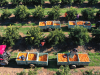 Workers pick navel oranges at the MAM Trust farm in Leeton, Australia, on Thursday, July 4, 2024.