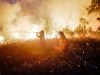 A Manggala Agni firefighter works to extinguish a land fire in Ogan Ilir Regency, South Sumatra, Indonesia, on August 15, 2026.
